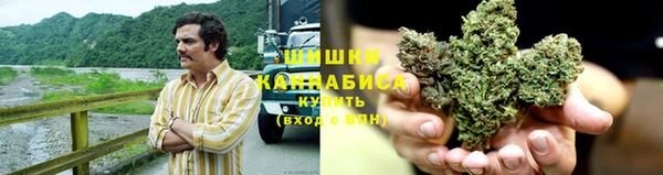 трава Абаза