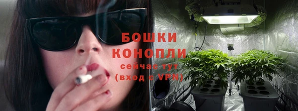 трава Абаза
