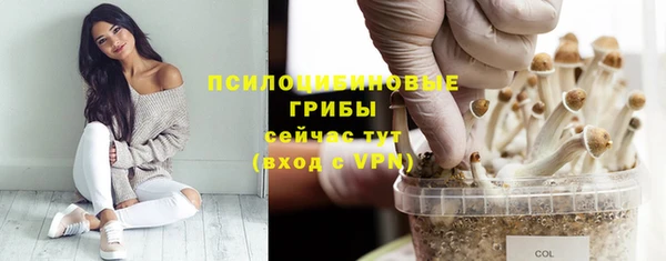 дмт Абдулино