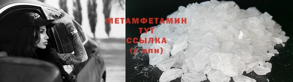 трава Абаза