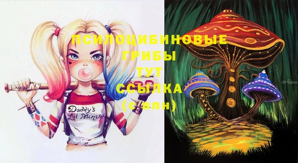 трава Абаза