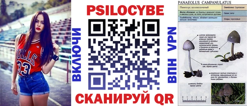 Галлюциногенные грибы Psilocybe купить Куртамыш