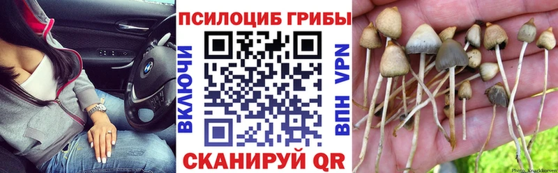 Псилоцибиновые грибы Magic Shrooms Куртамыш